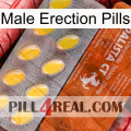 Male Erection Pills 42